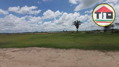 Fazenda-Sítio-Chácara, 290 hectares - Foto 3