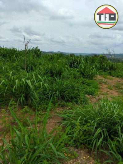 Fazenda-Sítio-Chácara, 532 hectares - Foto 2