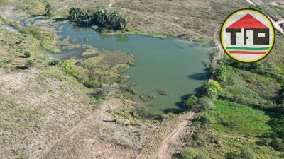 Fazenda-Sítio-Chácara, 774 hectares - Foto 5