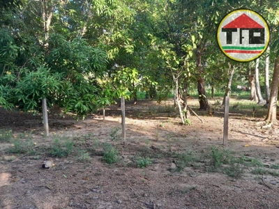 Chácara, 2 quartos, 10000 m² - Foto 4