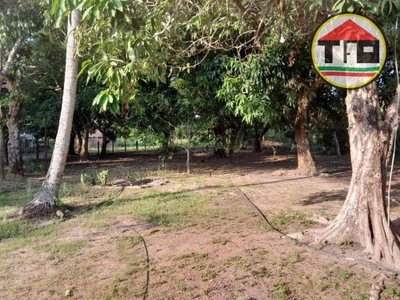 Chácara, 2 quartos, 10000 m² - Foto 2