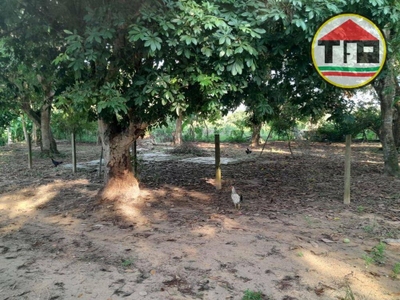 Chácara, 2 quartos, 10000 m² - Foto 3