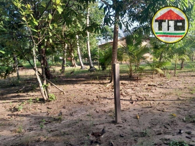 Chácara, 2 quartos, 10000 m² - Foto 1