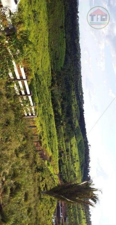 Fazenda-Sítio-Chácara, 1099 hectares - Foto 1