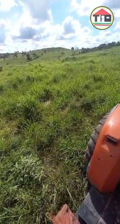 Fazenda-Sítio-Chácara, 426 hectares - Foto 3