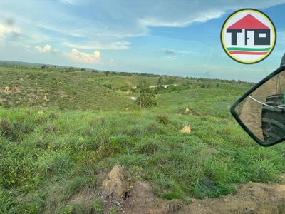 Fazenda-Sítio-Chácara, 242 hectares - Foto 2