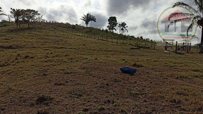 Fazenda-Sítio-Chácara, 203 hectares - Foto 3