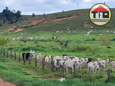 Fazenda-Sítio-Chácara, 5130 hectares - Foto 4