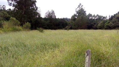 Terreno, 2 hectares - Foto 2