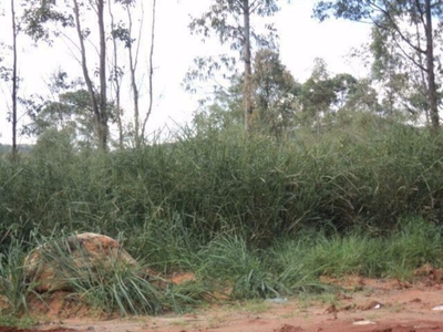 Terreno, 2 hectares - Foto 4