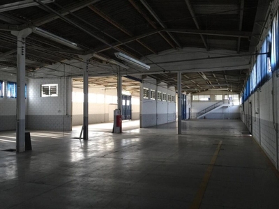 Depósito-Galpão, 2000 m² - Foto 3