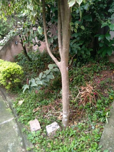 Terreno, 270 m² - Foto 3