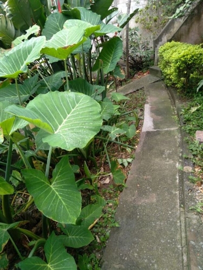 Terreno, 270 m² - Foto 4