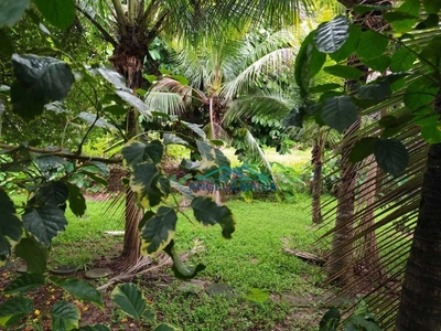 Chácara, 7 quartos, 1400 m² - Foto 5