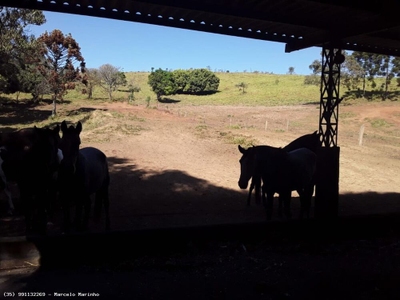 Fazenda-Sítio-Chácara, 146 hectares - Foto 3