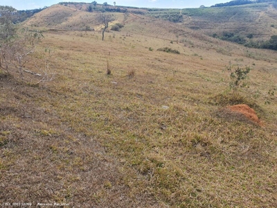 Fazenda-Sítio-Chácara, 368 hectares - Foto 3