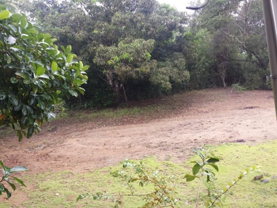 Terreno, 10 hectares - Foto 3