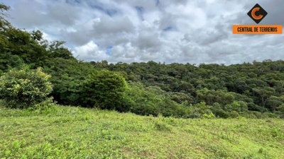 Chácara, 2 quartos, 10 hectares - Foto 3