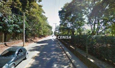 Terreno, 4 hectares - Foto 1