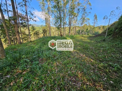 Terreno, 2 hectares - Foto 4