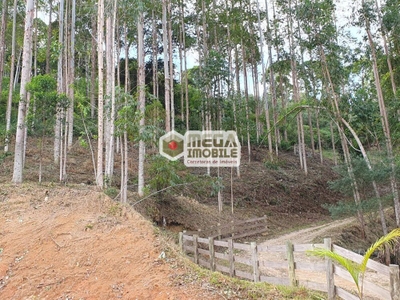 Terreno, 2 hectares - Foto 2