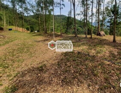 Terreno, 2 hectares - Foto 3