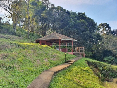 Chácara, 5 quartos, 5 hectares - Foto 2