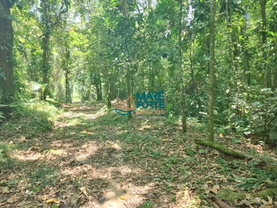 Terreno, 1 hectares - Foto 1