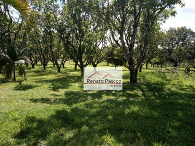 Chácara, 3 quartos, 2 hectares - Foto 1