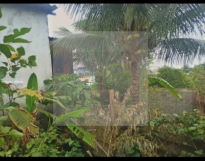 Casa, 3 quartos, 300 m² - Foto 4