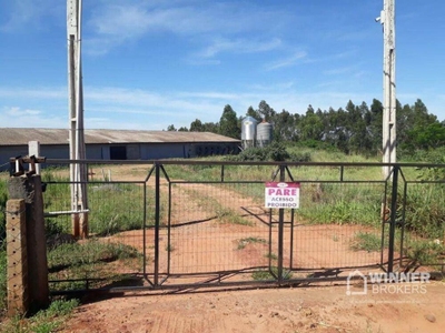 Fazenda-Sítio-Chácara, 12 hectares - Foto 4