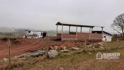 Fazenda-Sítio-Chácara, 6 hectares - Foto 2