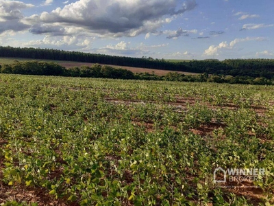 Fazenda-Sítio-Chácara, 51 hectares - Foto 3