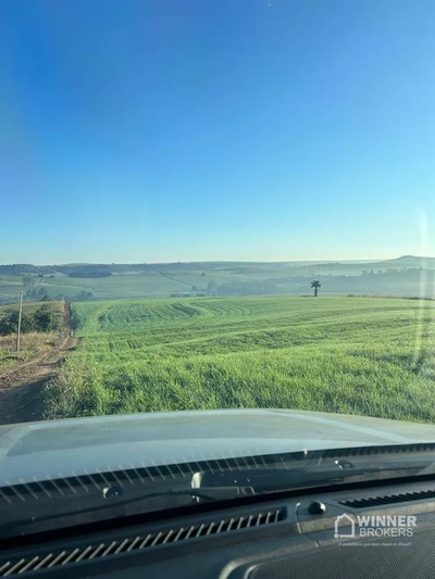 Chácara, 1000 m² - Foto 2