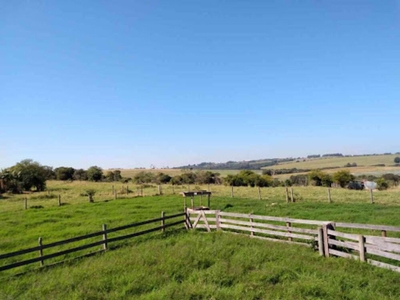 Sítio, 8 quartos, 3 hectares - Foto 4