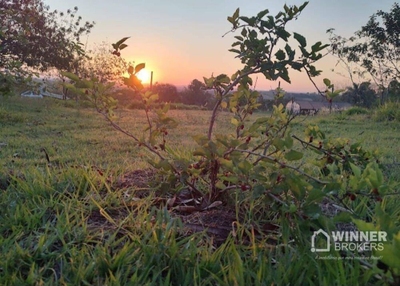 Sítio, 7000 m² - Foto 2