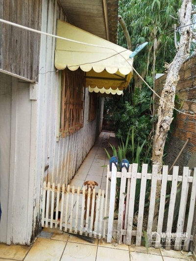 Casa, 3 quartos, 300 m² - Foto 4