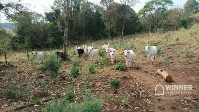 Fazenda-Sítio-Chácara, 34 hectares - Foto 3