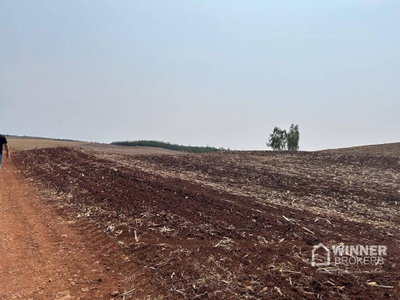 Sítio, 2 quartos, 19 hectares - Foto 2