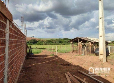 Chácara, 10000 m² - Foto 4