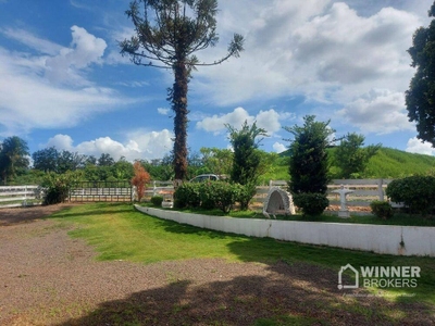 Sítio, 2 quartos, 10 hectares - Foto 2