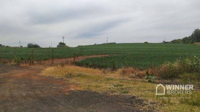 Chácara, 2 hectares - Foto 1