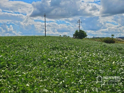 Terreno, 4 hectares - Foto 3