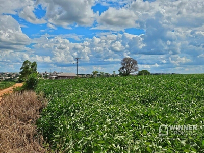 Terreno, 4 hectares - Foto 2