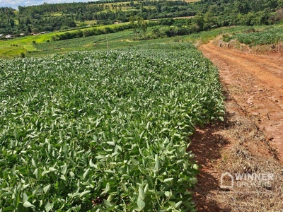 Terreno, 4 hectares - Foto 4