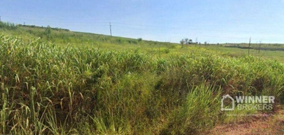 Terreno, 4 hectares - Foto 5