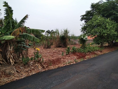 Chácara, 1 quarto, 1390 m² - Foto 3