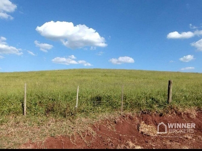 Fazenda, 230 hectares - Foto 5