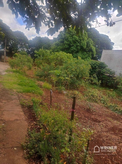 Terreno, 333 m² - Foto 2