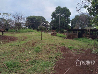 Chácara, 2 quartos, 3 hectares - Foto 4